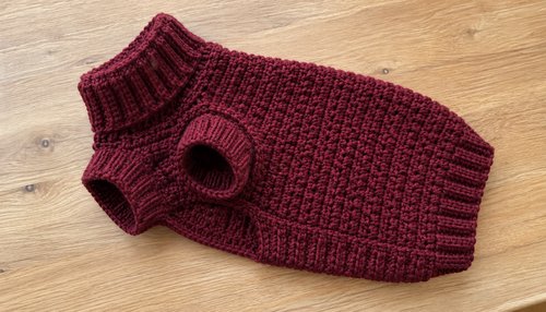 Burgundy crochet dog sweater pullover showing ribbed collar and leg openings